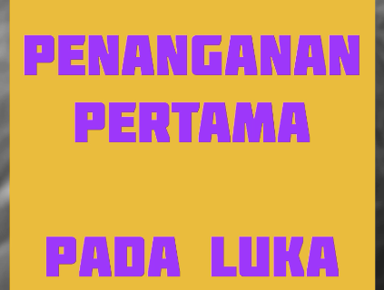 PENANGANAN PERTAMA LUKA PADA KUCING